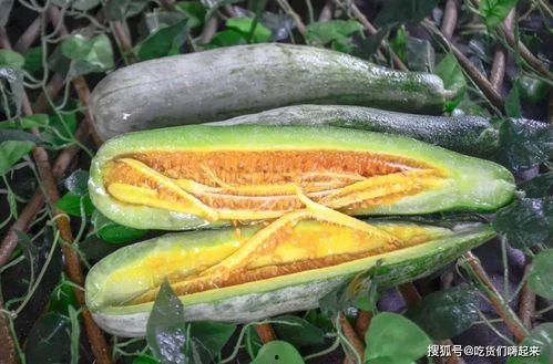 成县的吃瓜网红是谁啊,揭秘网络红人的魅力与影响力 第3张 成县的吃瓜网红是谁啊,揭秘网络红人的魅力与影响力 第3张